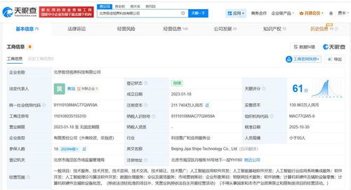 華為哈勃入股極佳視界，通用視覺大模型賽道再添產業資本助力